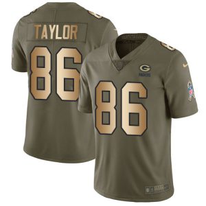Magnificent Packers #86 Malik Taylor Olive/Gold Youth Stitched NFL Limited 2017 Salute To Service Jersey